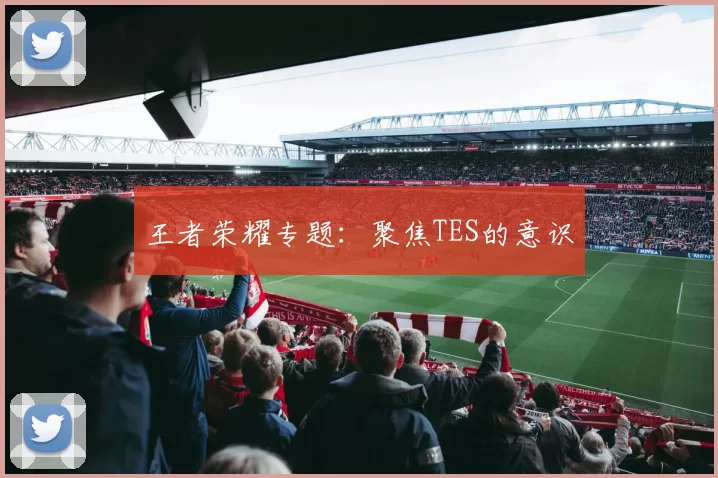 王者荣耀专题：聚焦TES的意识