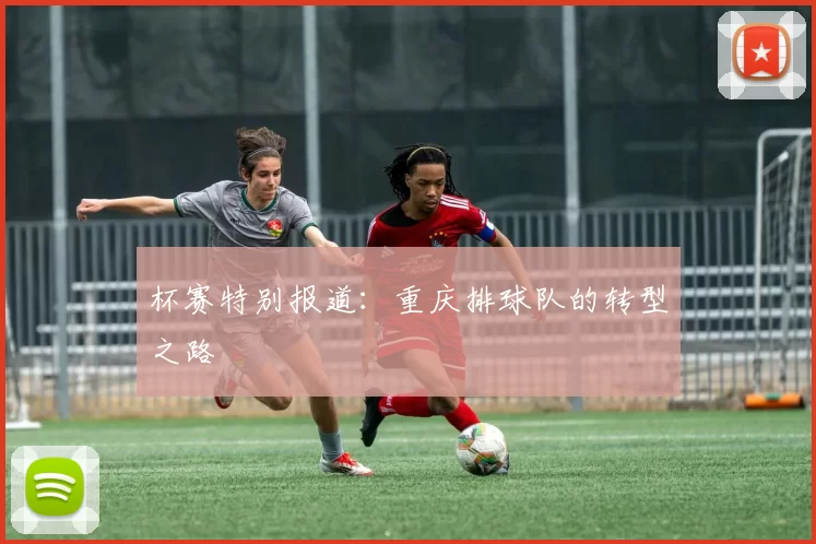 杯赛特别报道：重庆排球队的转型之路