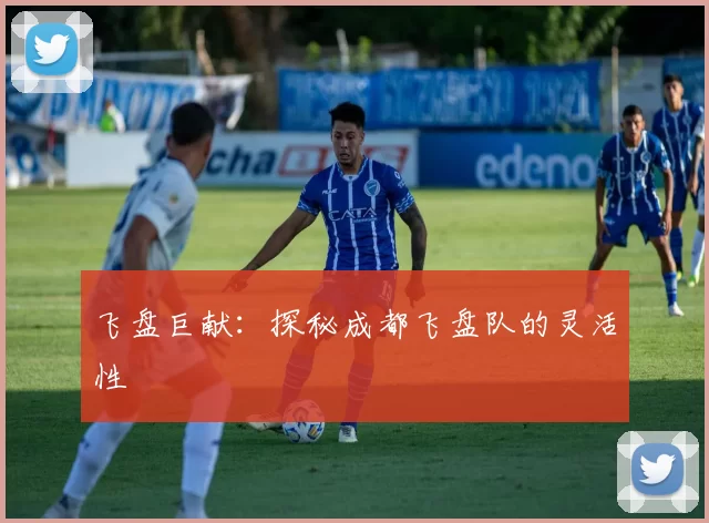 飞盘巨献：探秘成都飞盘队的灵活性