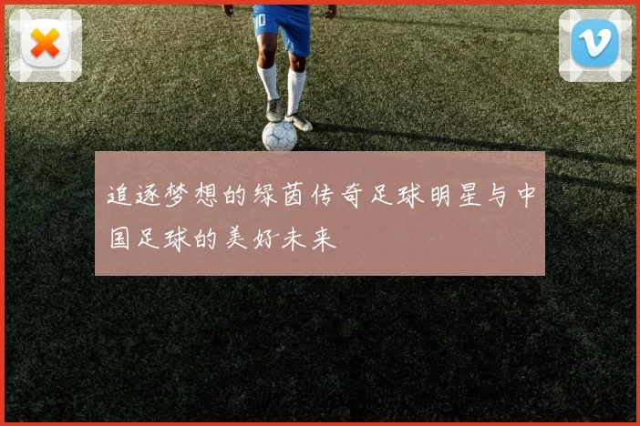 追逐梦想的绿茵传奇足球明星与中国足球的美好未来