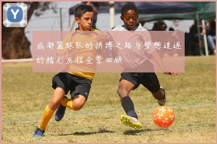 成都篮球队的拼搏之路与梦想追逐的精彩历程全景回顾