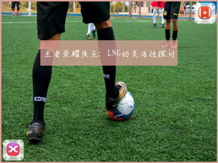 王者荣耀焦点：LNG的灵活性探讨