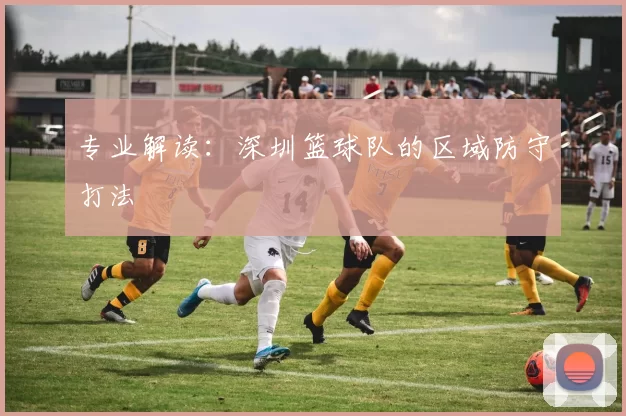 专业解读：深圳篮球队的区域防守打法