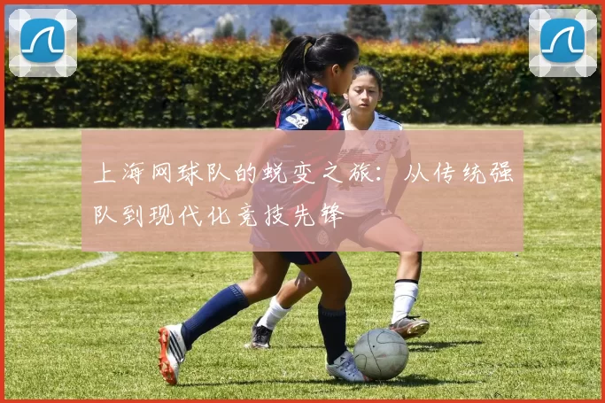 上海网球队的蜕变之旅：从传统强队到现代化竞技先锋