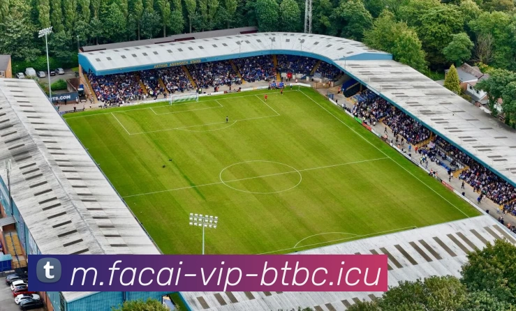 MK体育平台生态图