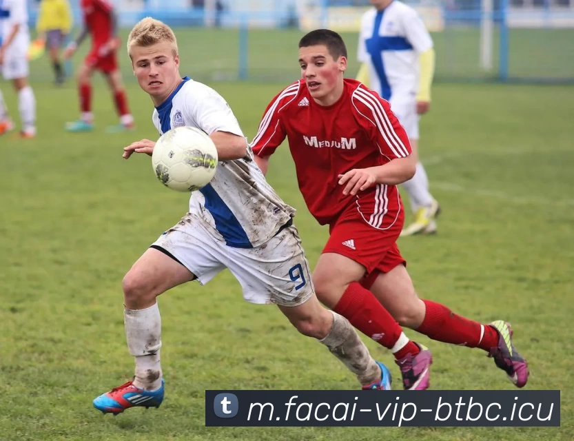 MK体育APP 封面图